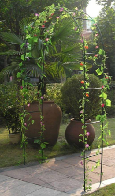 Steel Garden Rose Arch 1