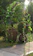 Argos Steel Garden Rose Arch 1