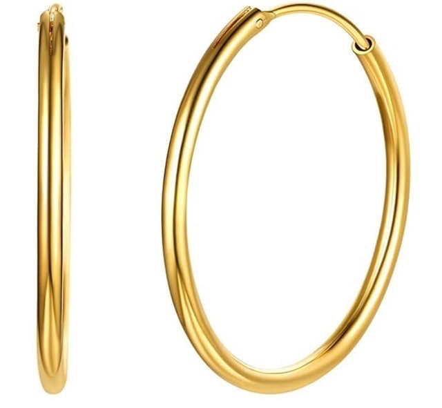 Hoop Earrings 1