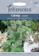 Johnsons Catnip Flower Seeds, White 1