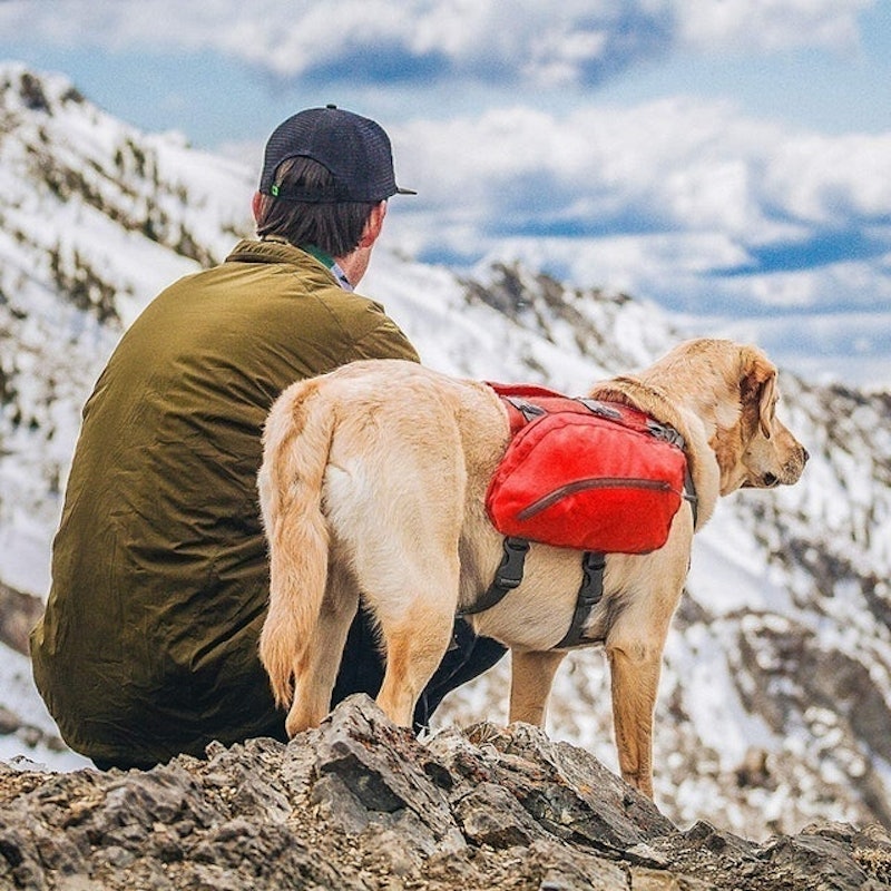 Baxter Pack 3