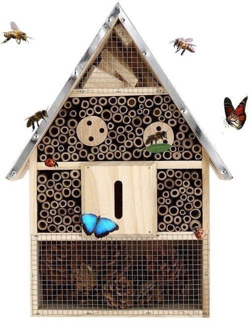 10 Best Bee Hotels UK 2024 | Noma, Wildlife World and More 4