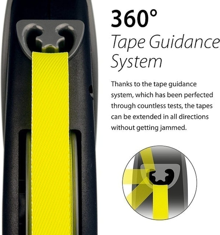 Giant Professional Neon Dog Lead 2