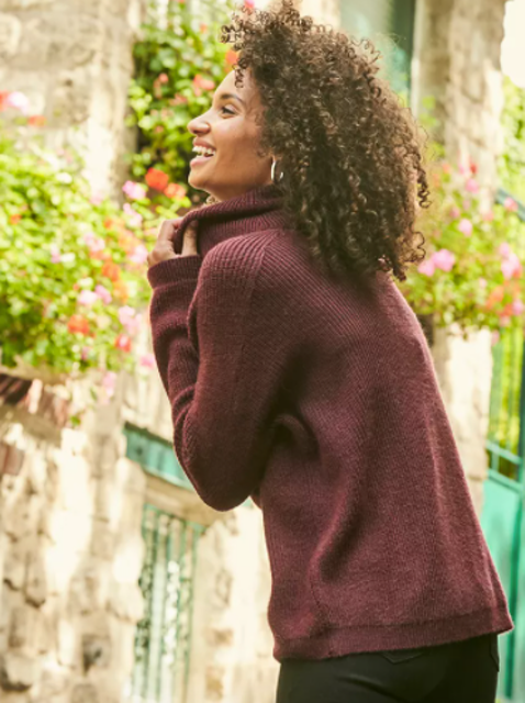 Soft Knit Roll Neck Jumper, Wine 4