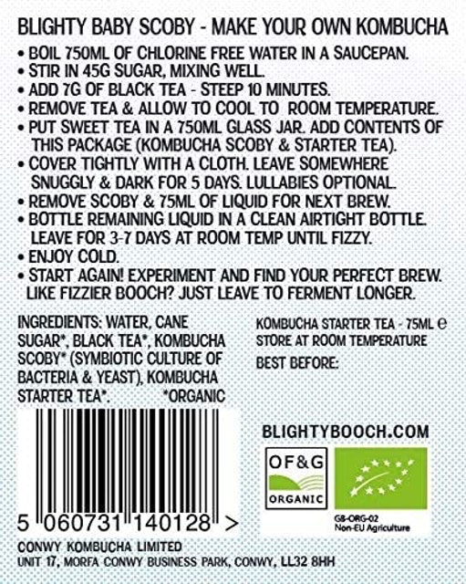 Kombucha Starter Kit With Tea 2