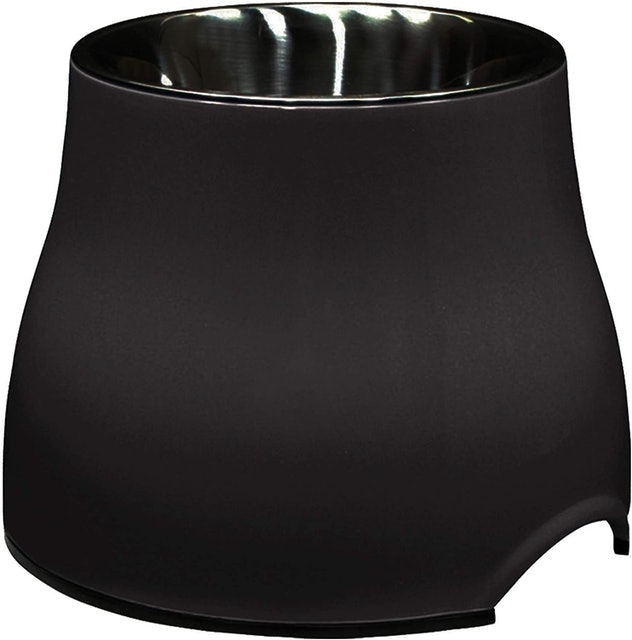 2-in-1 Elevated Dish/Bowl 1