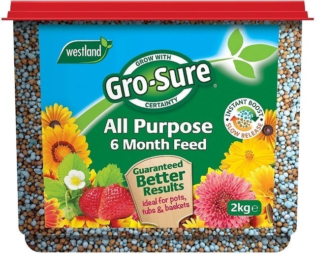 10 Best Indoor Plant Foods UK 2024 | Miracle-Gro, Gro-Sure and More 5