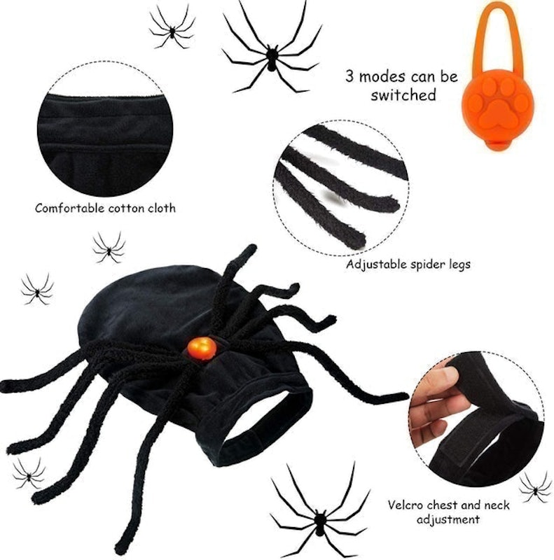 Halloween Spider Costume 3