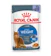 Royal Canin Ultra Light Care in Jelly 1