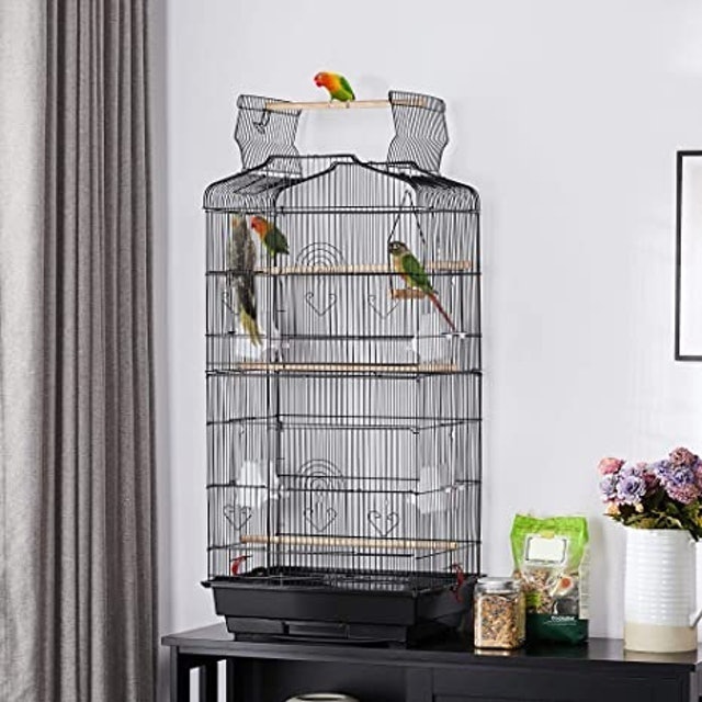 Hanging Bird Cage 2
