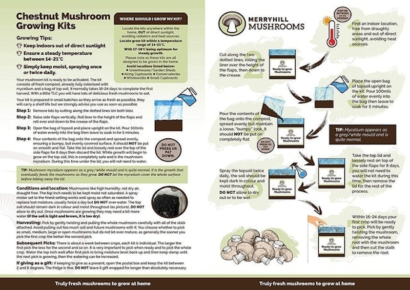Chestnut Mushroom Growing Kit 3