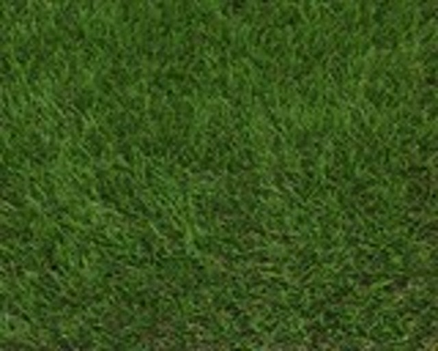 Galileo 30 mm Artificial Grass 4