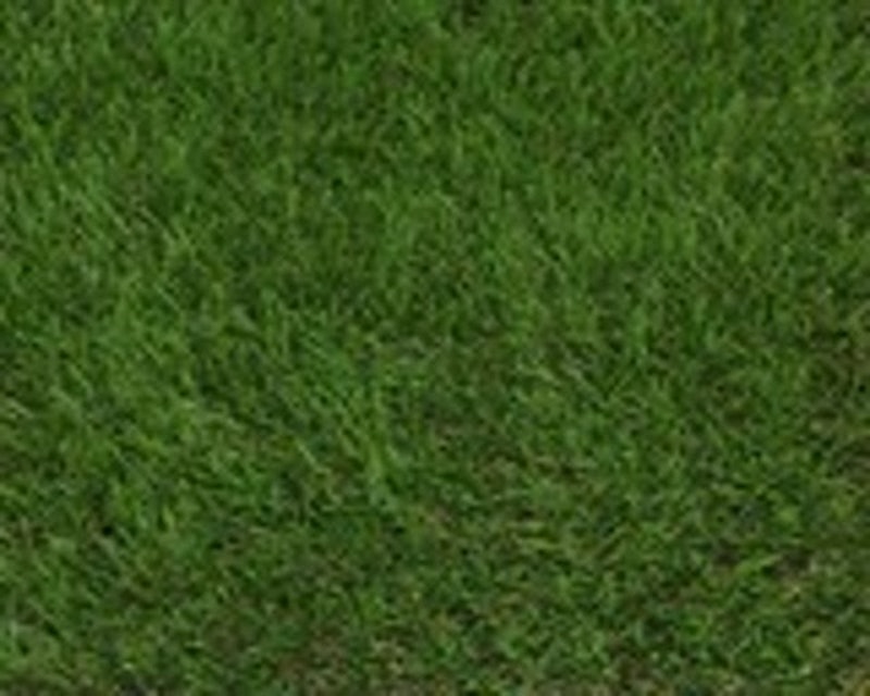 Galileo 30 mm Artificial Grass 4
