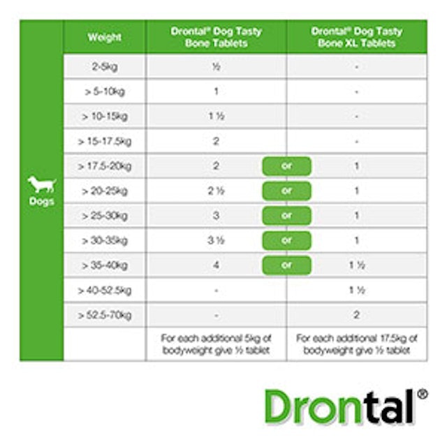 RS Pet Bayer Drontal Worming Tablet for Dogs 6
