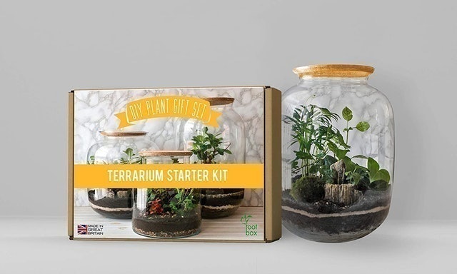 Terrarium Starter Kit 3