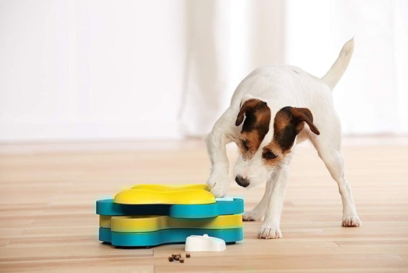 Hound Dog Tornado Interactive Treat Puzzle 3