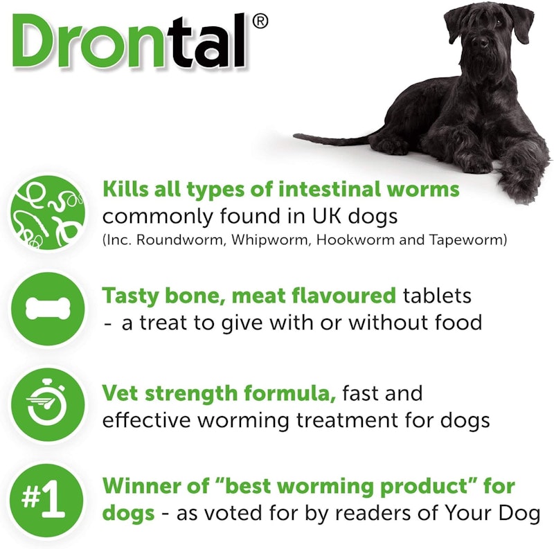 RS Pet Bayer Drontal Worming Tablet for Dogs 7