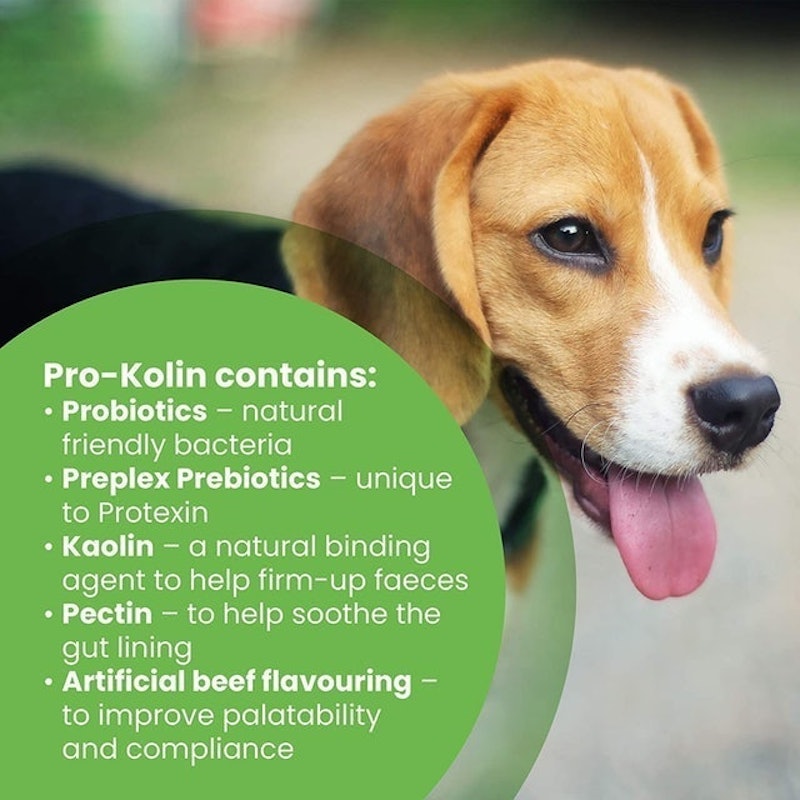 Probiotic Paste For Cats And Dogs 2