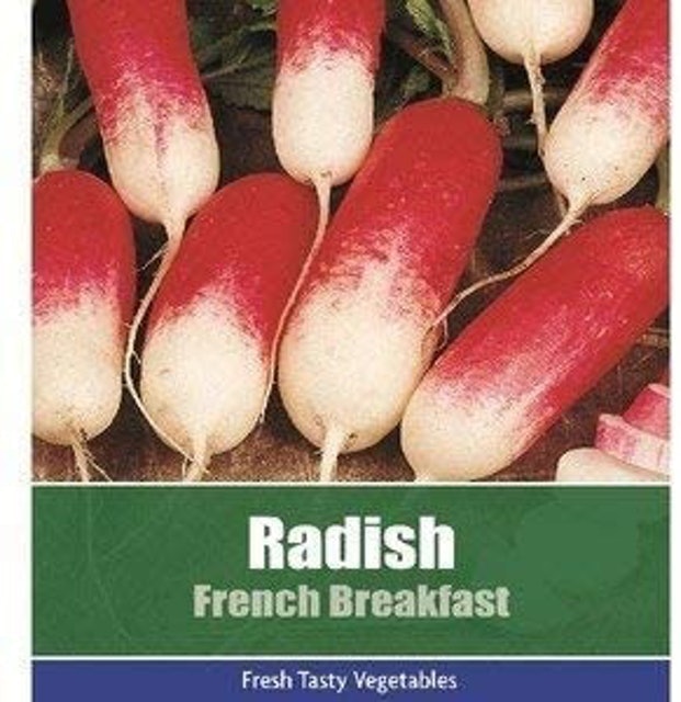 10 Best Easy to Grow Vegetables UK 2024 | Mr. Fothergill's, De Ree and More 2