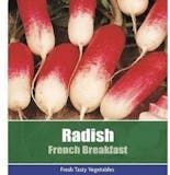 10 Best Easy to Grow Vegetables UK 2024 | Mr. Fothergill's, De Ree and More 2