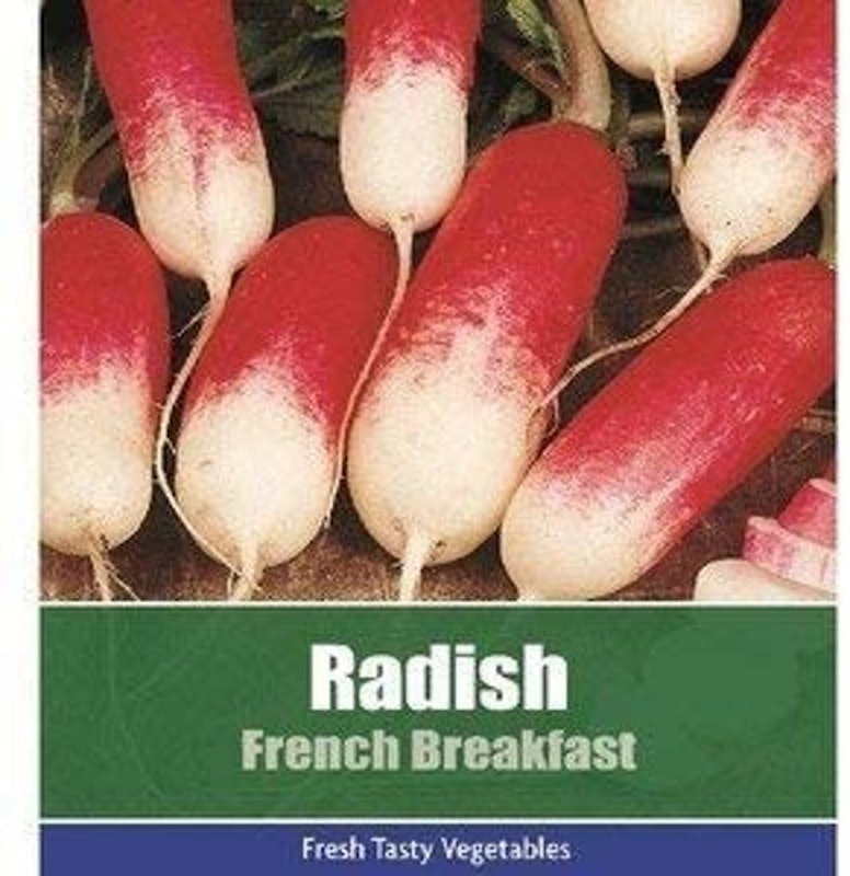 Radish Seeds 1