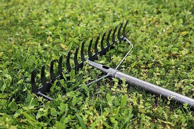 Garden Rake 2