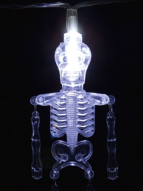 LED Halloween Skeleton Lights 2