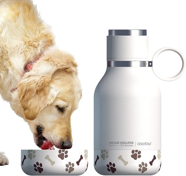 Dog Bowl and Travel Bottle 1