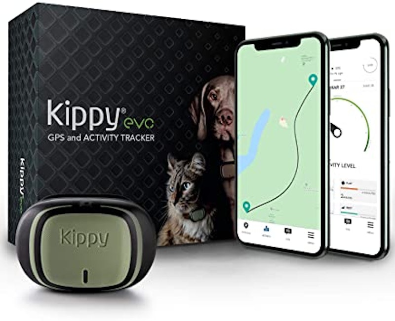 EVO - The new GPS Tracker 1