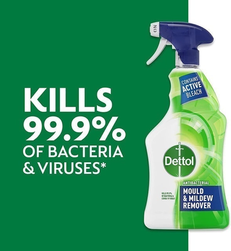 Mould and Mildew Remover Spray 2