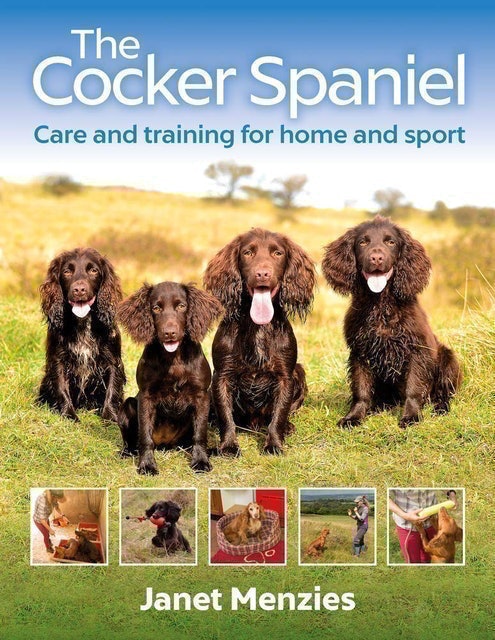 10 Best Dog Training Books UK 2024 | Graeme Hall, Pippa Mattinson and More 4