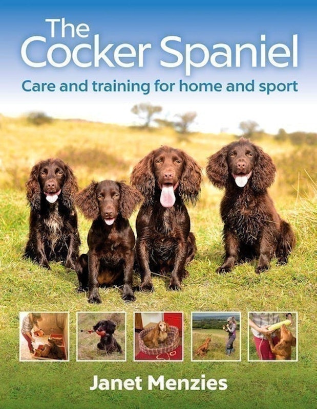 The Cocker Spaniel 1
