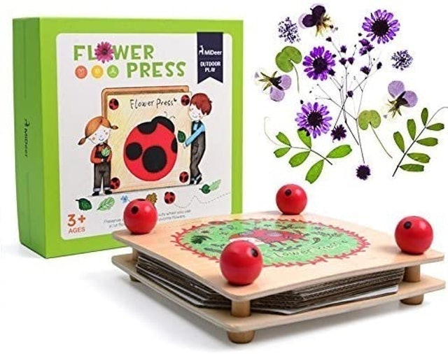 Flower and Leaf Press Kit 1