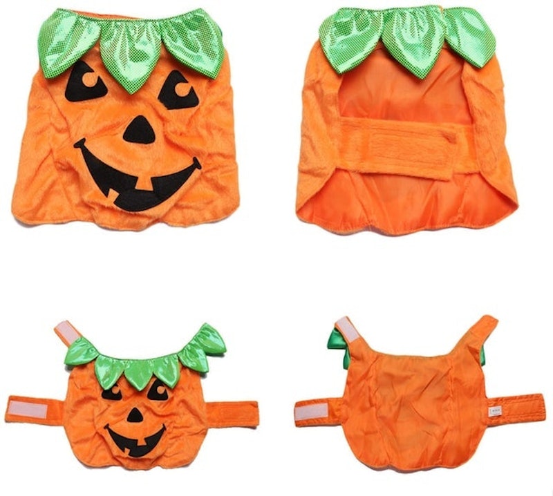 Halloween Pumpkin Outfit 5