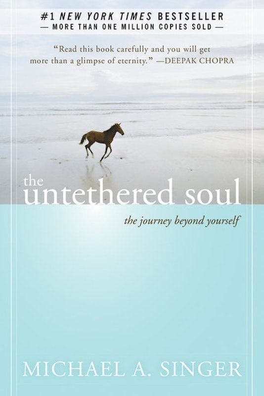 The Untethered Soul 1