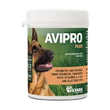 10 Best Probiotics for Dogs UK 2024 | PURINA, Buddy & Lola and More 5