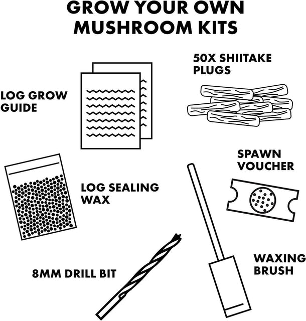 Shiitake Mushroom Log Growing Kit 2
