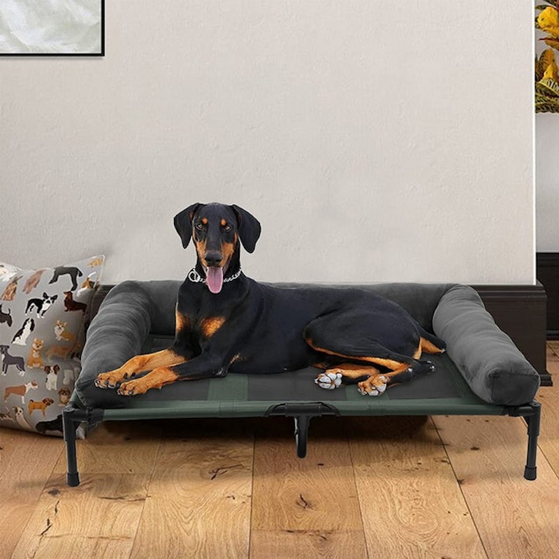 Cooling Elevated Dog Bed 3