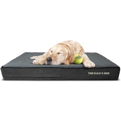 Orthopaedic Waterproof Dog Bed - Extra Large