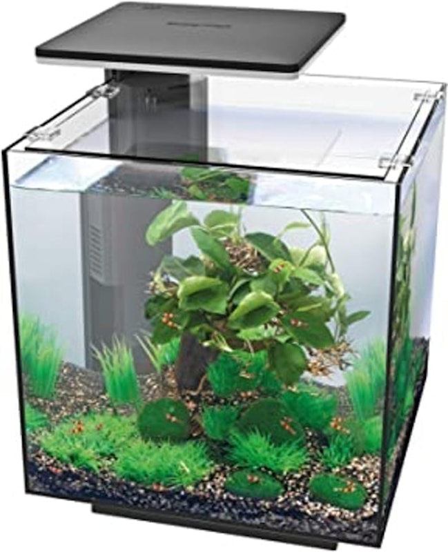 Qubiq Aquarium 1