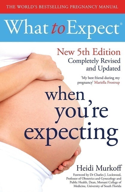 10 Best Pregnancy Books UK 2024 | Rebecca Schiller, Emily Oster and More 1