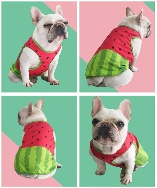 Cooling Coat 2