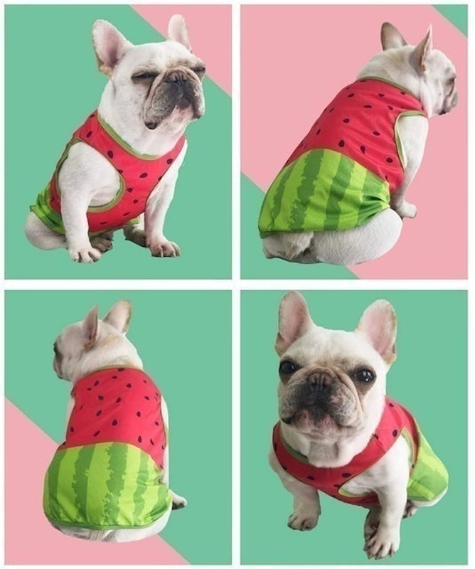 Cooling Coat 2
