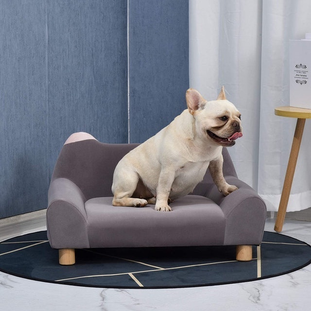 Pet Sofa 2