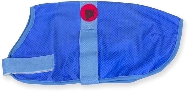 10 Best Cooling Vests for Dogs UK 2024 | Ruffwear, Crufts and More 3