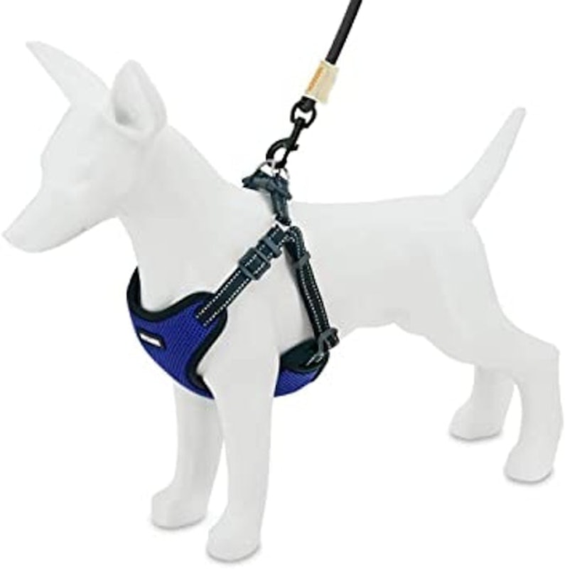 Voyager Step-In Flex Dog Harness 2