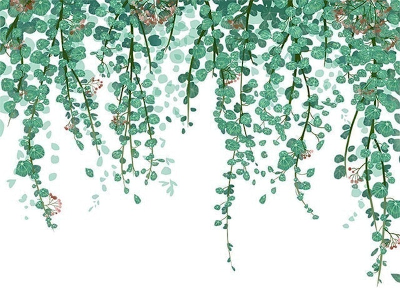 Floral Ivy Green Wall Decal 1