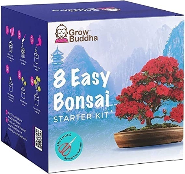 8 Easy Bonsai Starter Kit 1