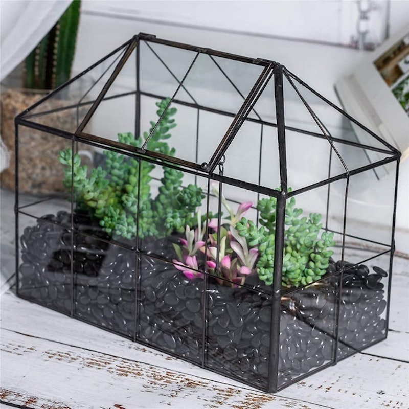 Vintage Style Geometric Terrarium 3