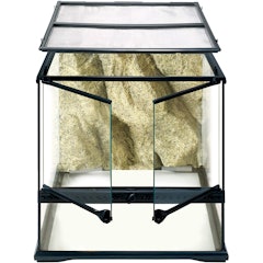 Glass Natural Terrarium